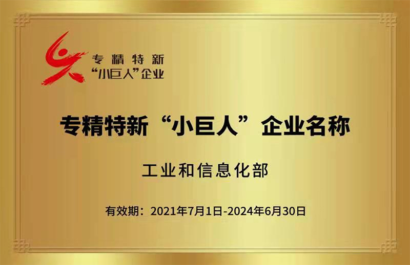 專精特新‘小巨人’企業(yè)